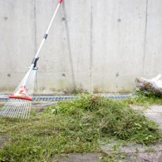 憧れのガーデンリビングを作る為の基本｜庭に芝生を植えよう編の画像