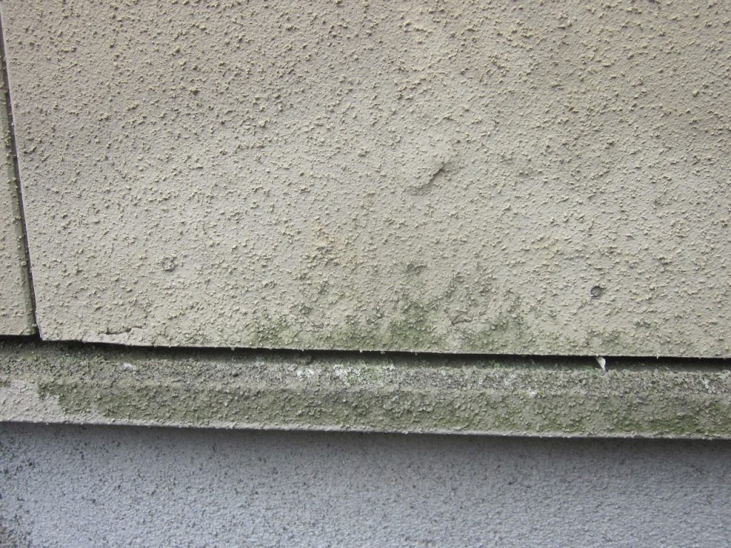外壁塗装工事｜コウモリ対策を兼ねて高耐久フッ素塗料を使用