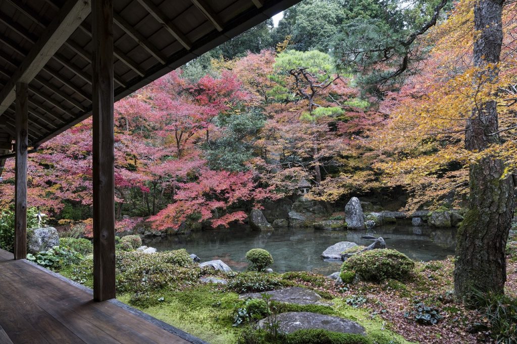 紅葉の時機到来 毎日落ちる庭の落ち葉の処理方法 住まいるオスカーのリフォーム