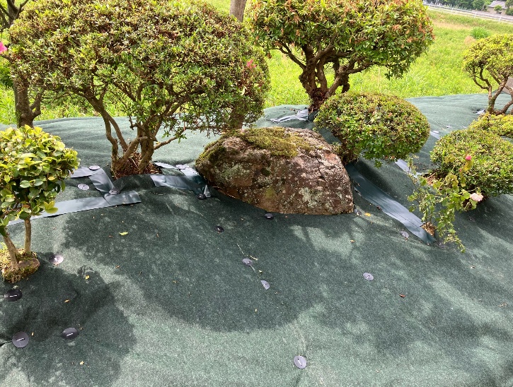 お庭の草むしり気になるなぁ～。そうだ！！住まいるオスカーに相談しよ！！