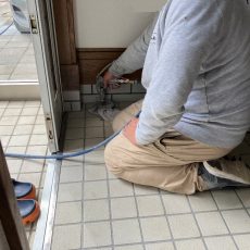 家の玄関先に羽アリ発生・・・早めの対策を！（白蟻防蟻工事）の画像